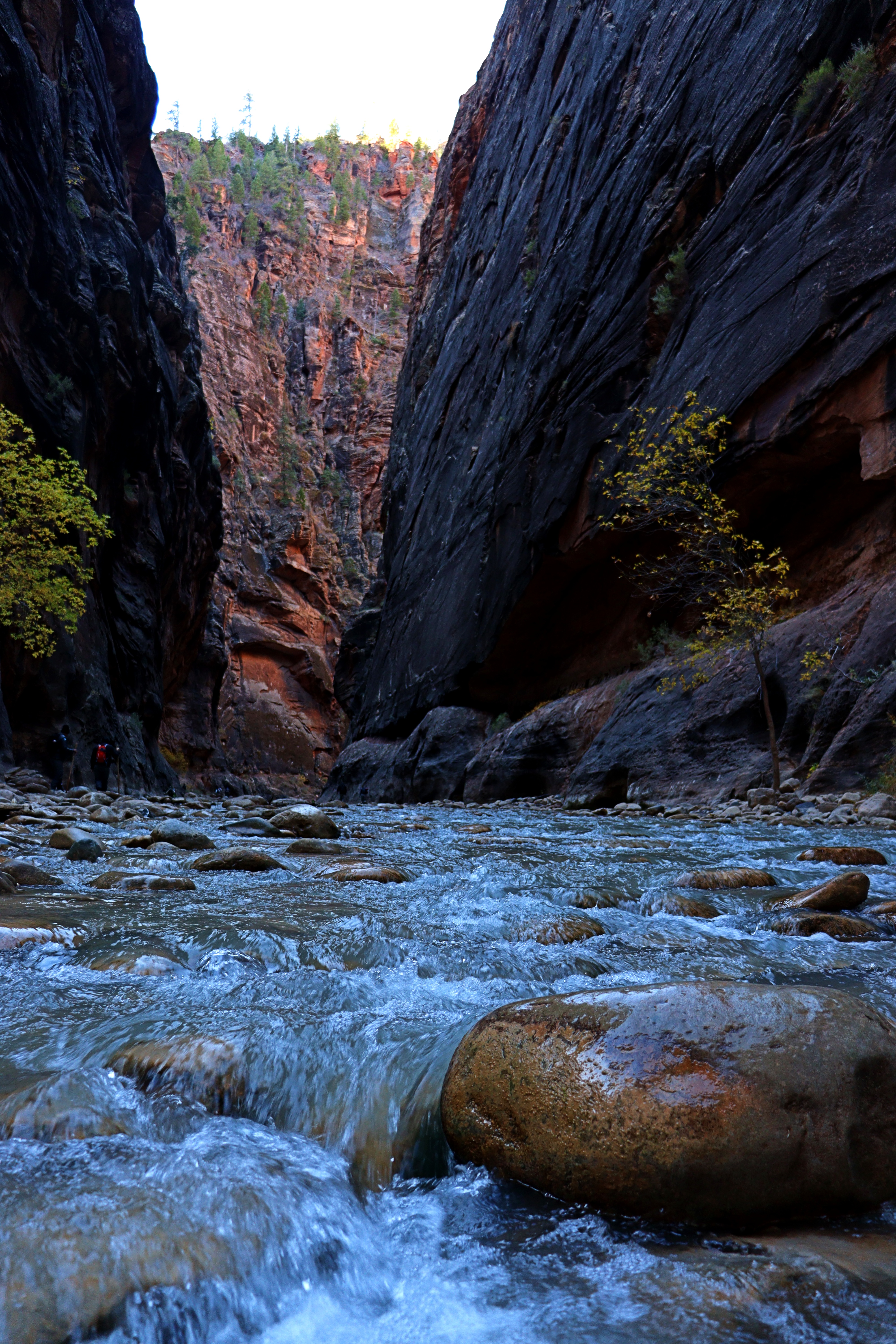 ZionNarrows1