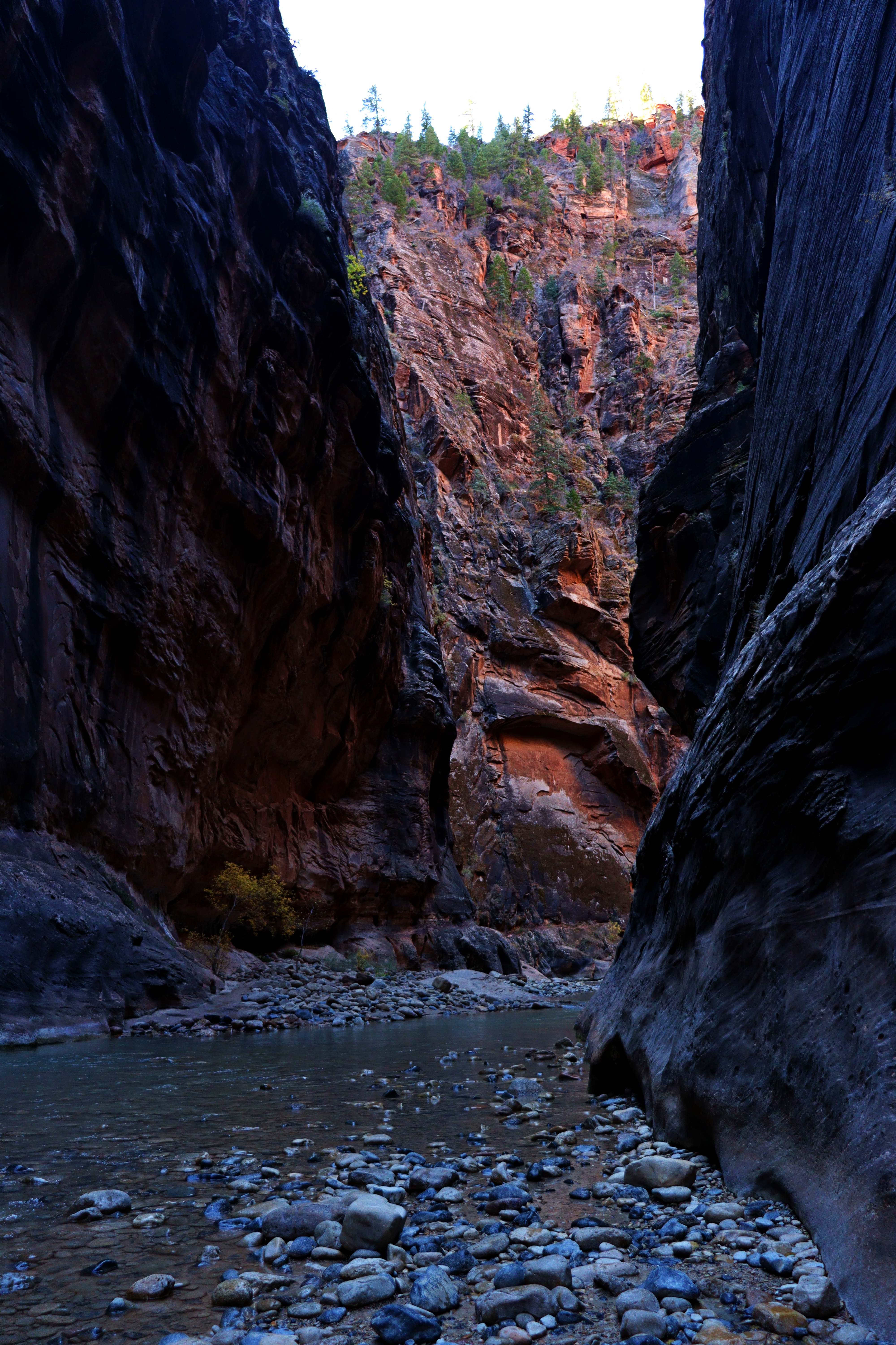 ZionNarrows2