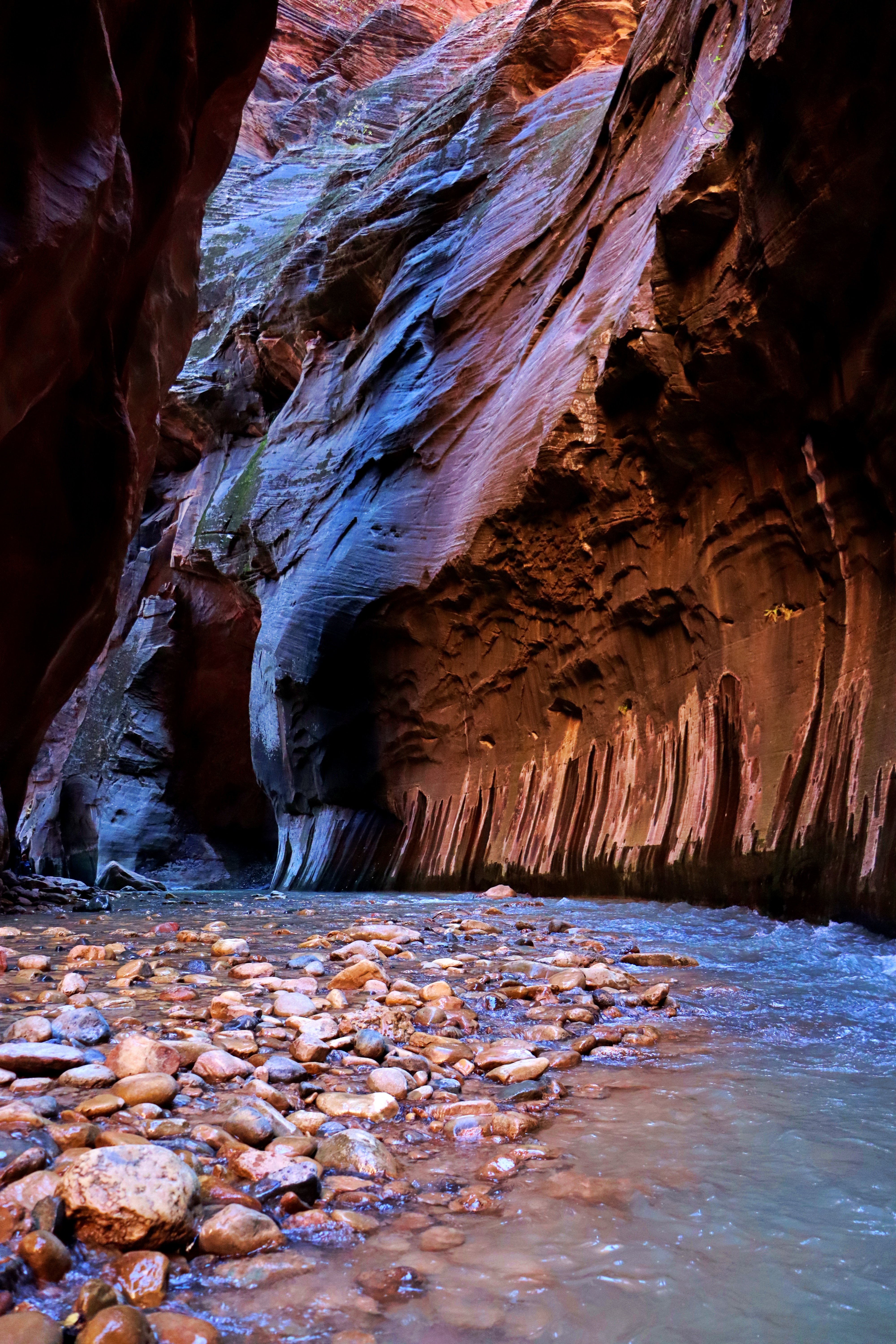 ZionNarrows5