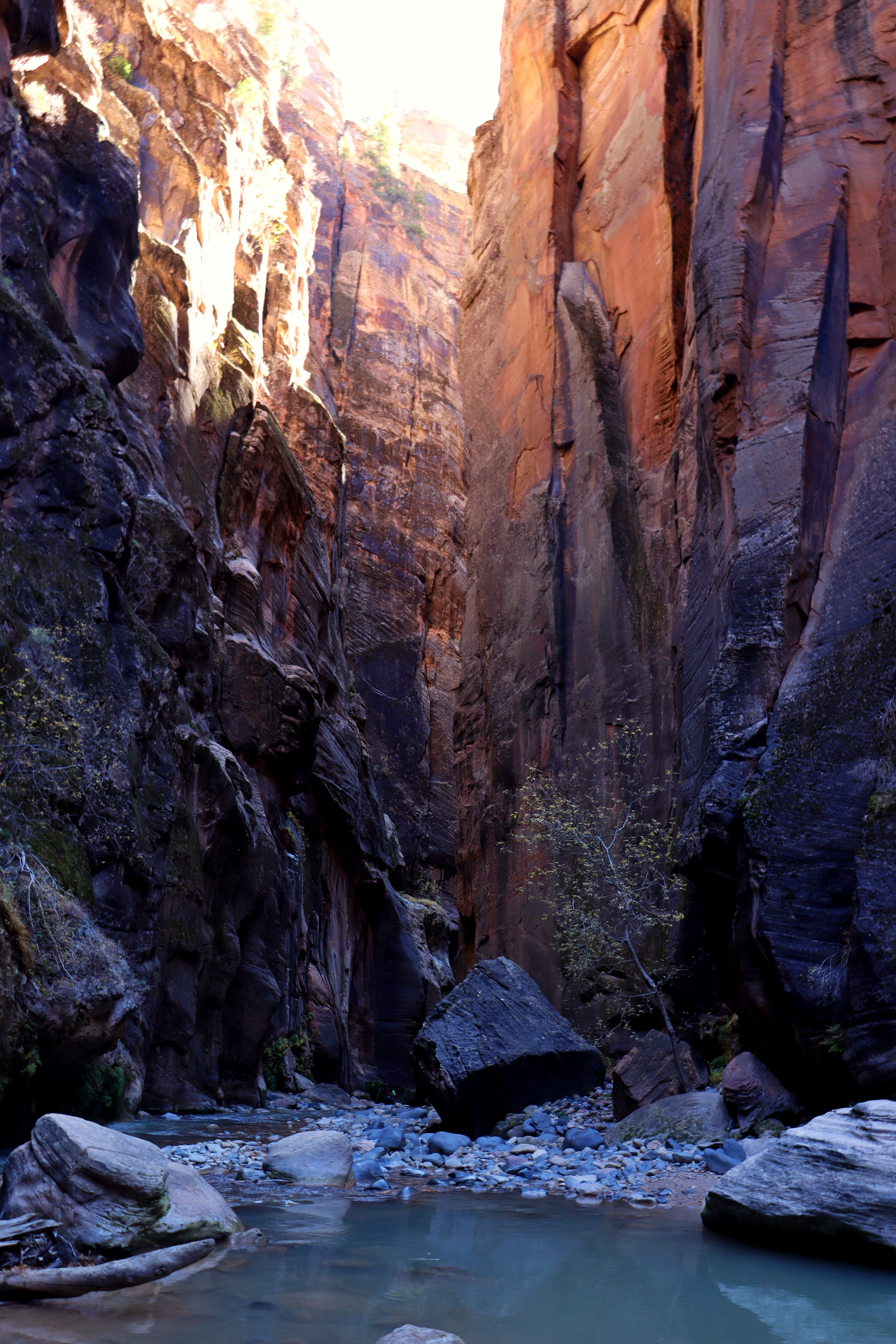 ZionNarrows7